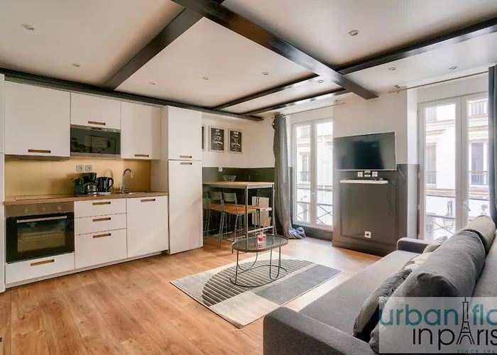 13 Luxury Flat eiffel design 2